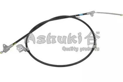 ashuki-hrk12488