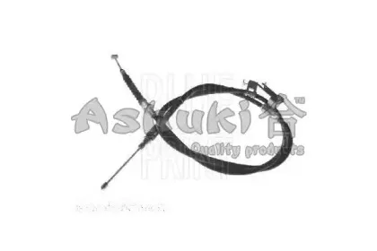 ashuki-hrk12490