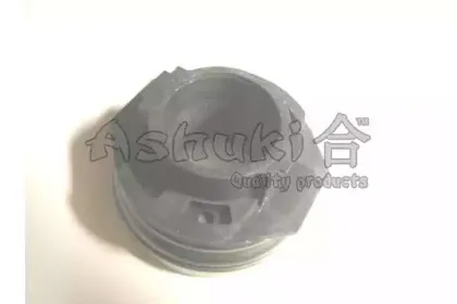 ashuki-i35005