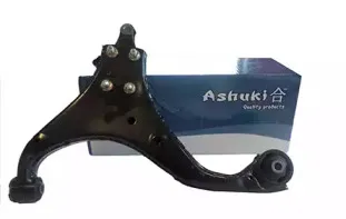 ashuki-i87504