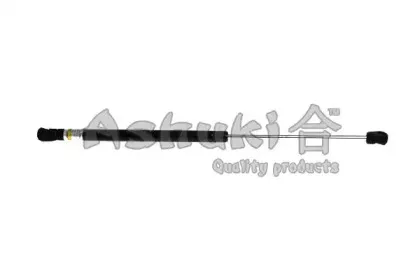 ashuki-i92518