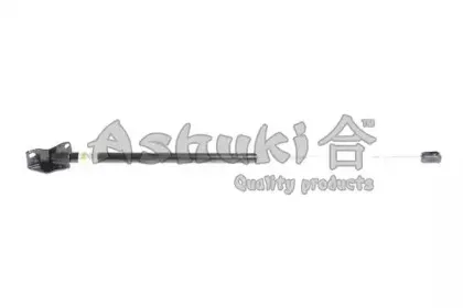 ashuki-i92526