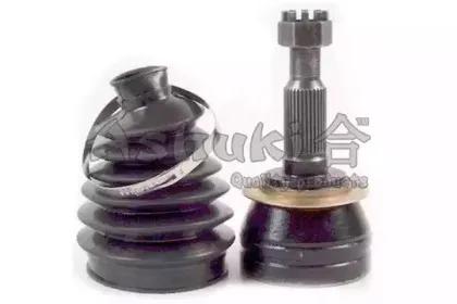 ashuki-j10308