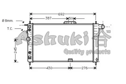ashuki-j20101