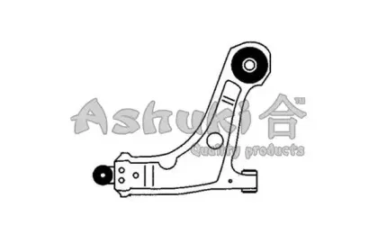 ashuki-j89006