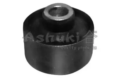 ashuki-j89031