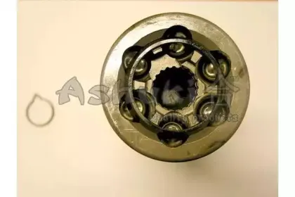 ashuki-k07807