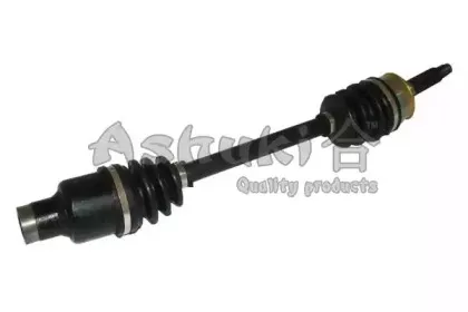 ashuki-k15612