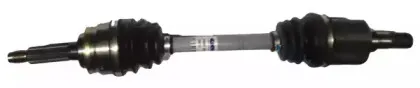 ashuki-k15617