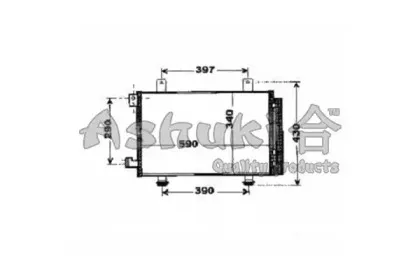 ashuki-k46203