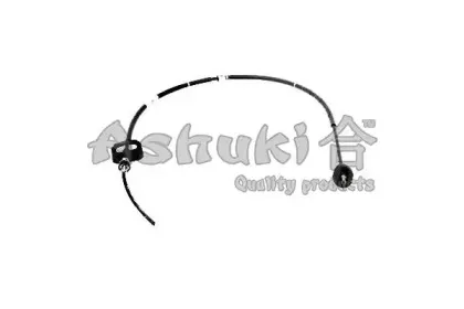 ashuki-k81016