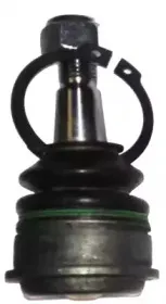 ashuki-k82030