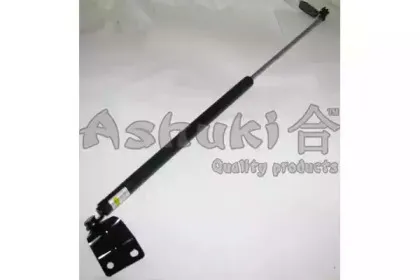 ashuki-k92526