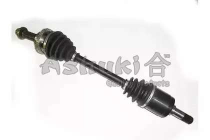 ashuki-m15601