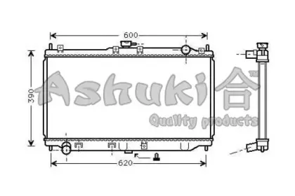 ashuki-m55919