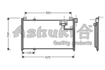 ashuki-m55966