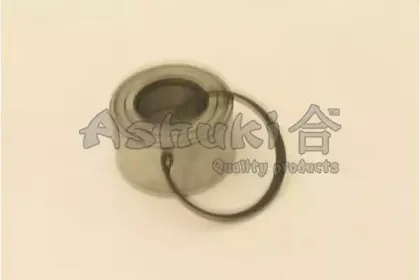 ashuki-m66031