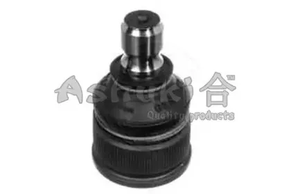 ashuki-m87515