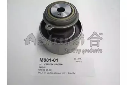 ashuki-m88101
