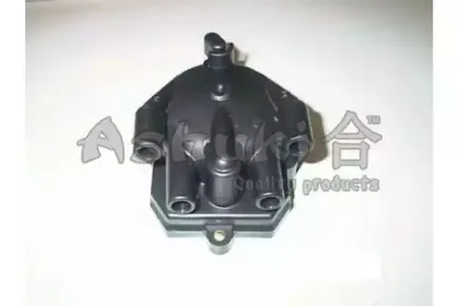 ashuki-m89501