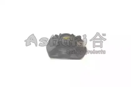 ashuki-m89516