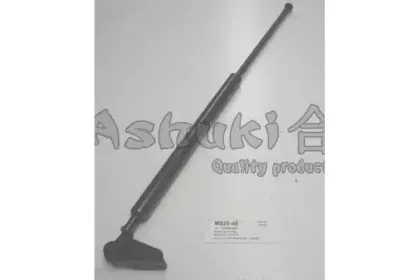 ashuki-m92548