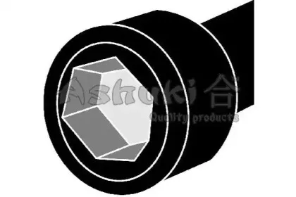 ashuki-n00080