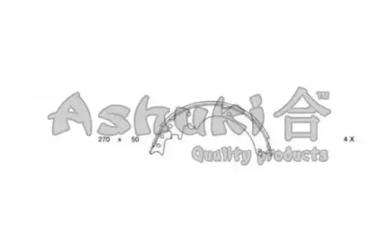 ashuki-n01125