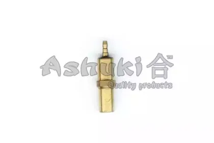 ashuki-n02101