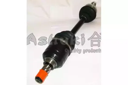 ashuki-n04213