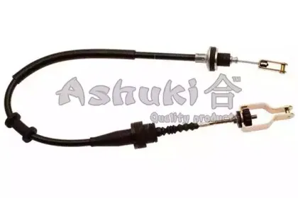 ashuki-n08016