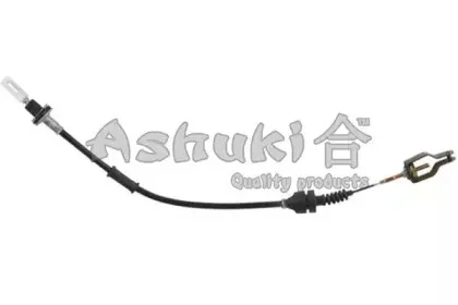 ashuki-n08017