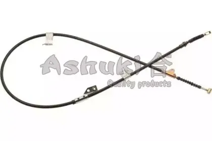 ashuki-n08022