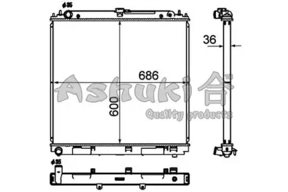 ashuki-n65666