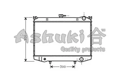 ashuki-n65695