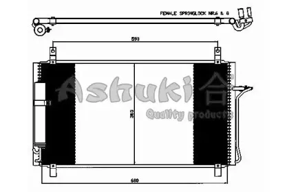 ashuki-n65791