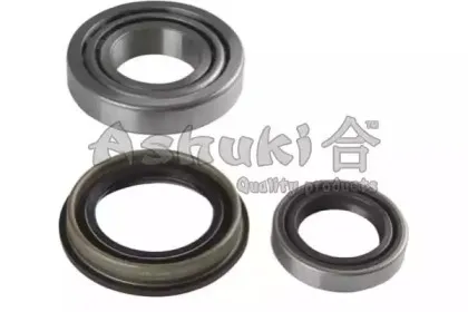 ashuki-n79595