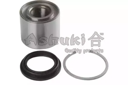 ashuki-n80113