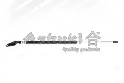 ashuki-n92516