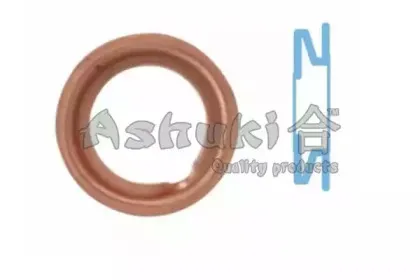 ashuki-t00151