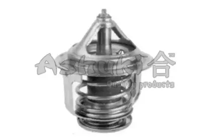 ashuki-t00210