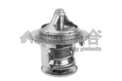 ashuki-t00215