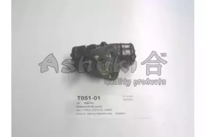 ashuki-t05101