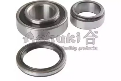 ashuki-t06011