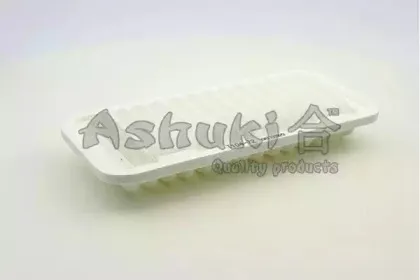 ashuki-t10472