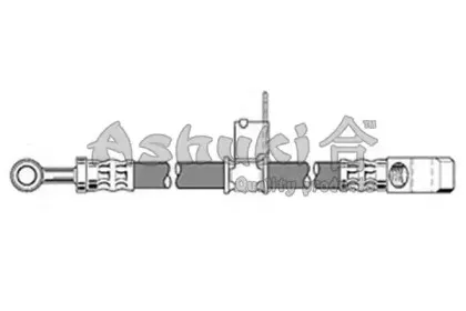 ashuki-t32213