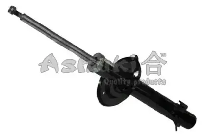ashuki-t35308