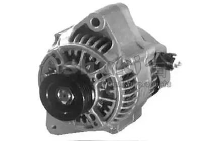 ashuki-t40003