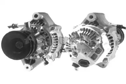 ashuki-t40024