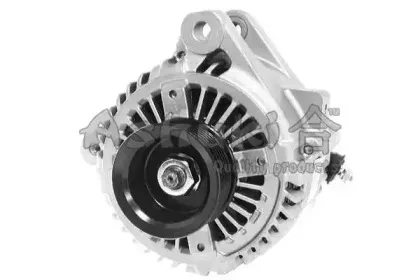 ashuki-t40025
